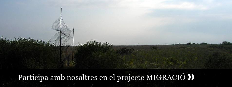 Projecte MIGRACIÓ
