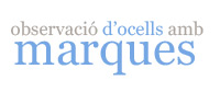 Observació d'ocells amb marques especials Observació d'ocells amb marques especials