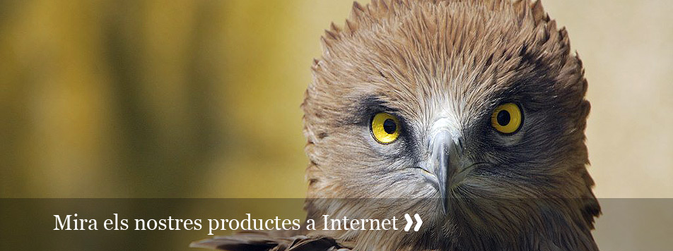 Portals web de l'ICO