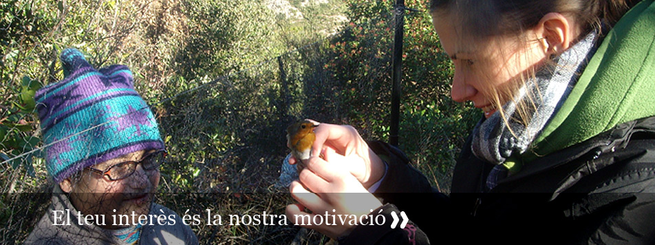 Dóna'ns el teu suport