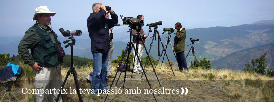 Dóna'ns el teu suport